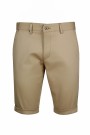 Camel Man’s Cotton Bermuda Shorts