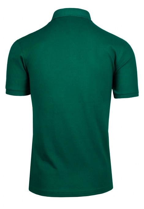  Ανδρική σκούρο πράσινο μπλούζα Polo Βαμβακερή