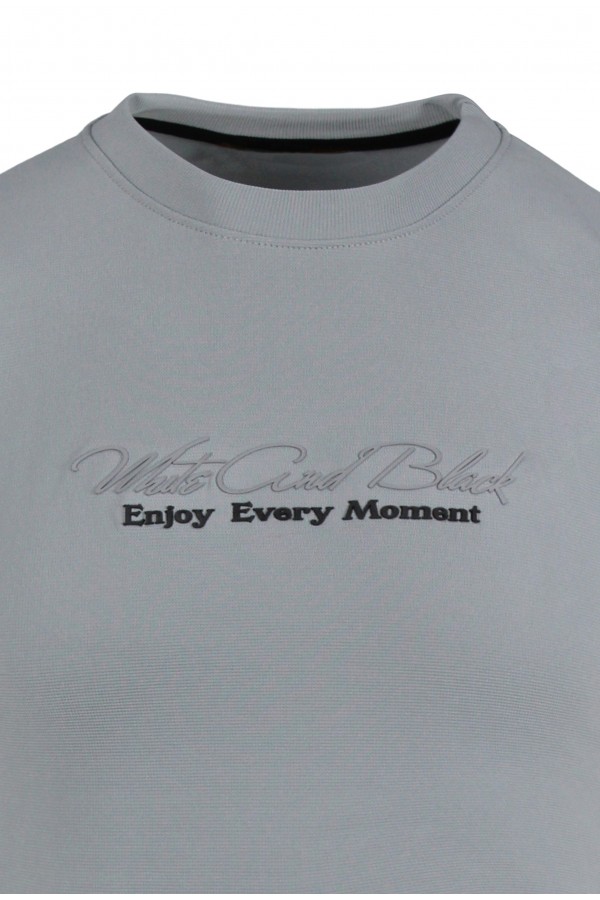 Man's light grey t-shirt