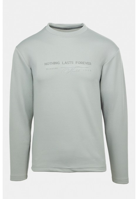 Ανοιχτό Γκρι Μπλούζα