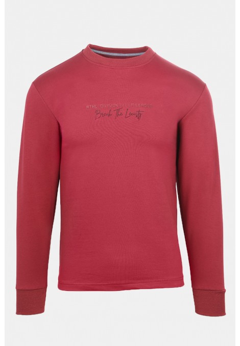 Μπορντό Μπλούζα