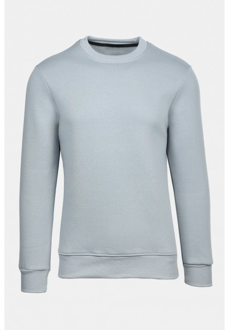 Light Grey Sweatshirt
